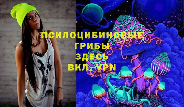 spice Армянск