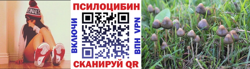 Галлюциногенные грибы мухоморы  Купить закладки  Сосновоборск 